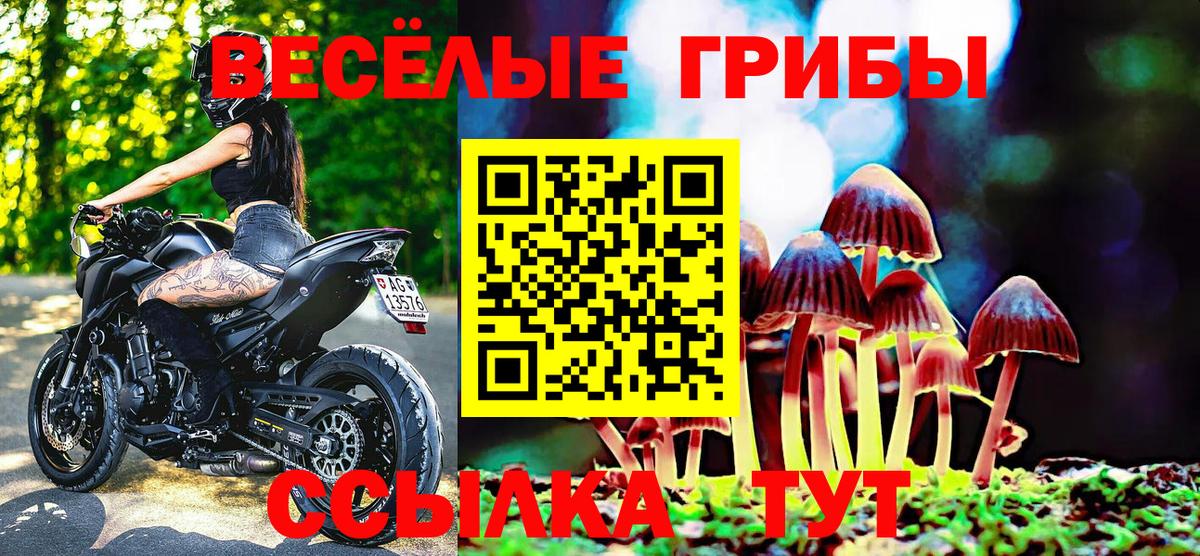 Псилоцибиновые грибы мухоморы  Галлюциногенные грибы Magic Shrooms  Вход с VPN  Красный Сулин 